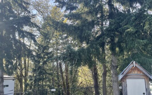 Standard RV Sites