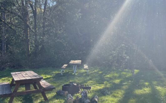Tent Site