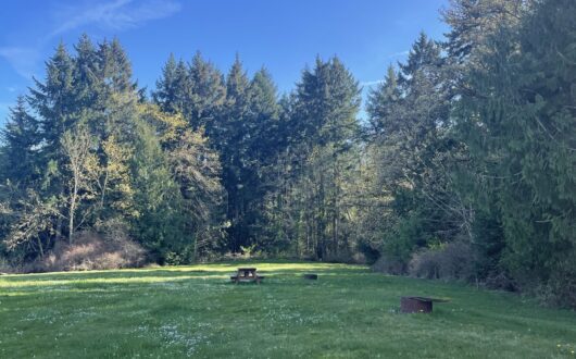 Group Tent Site
