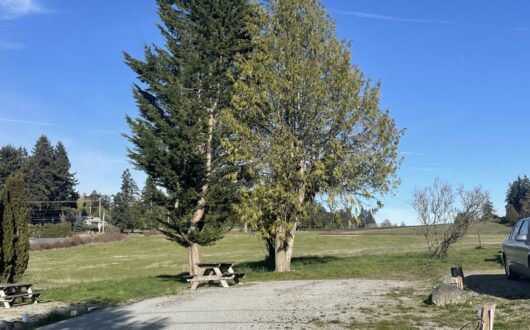 Premium RV Site